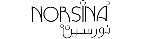Norsina