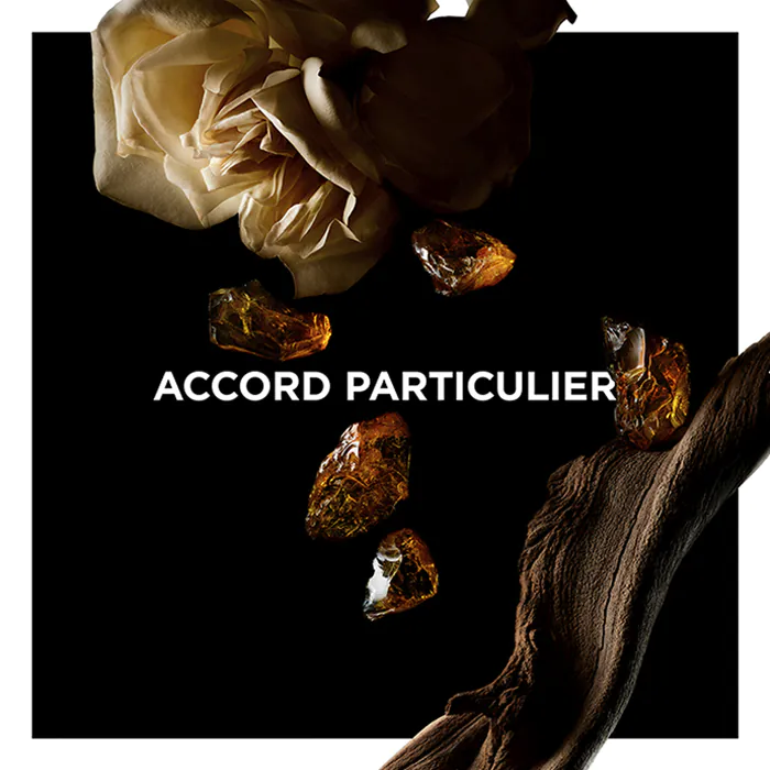 Accord Particulier Perfume by Givenchy EDP For Men and Women 100 ml