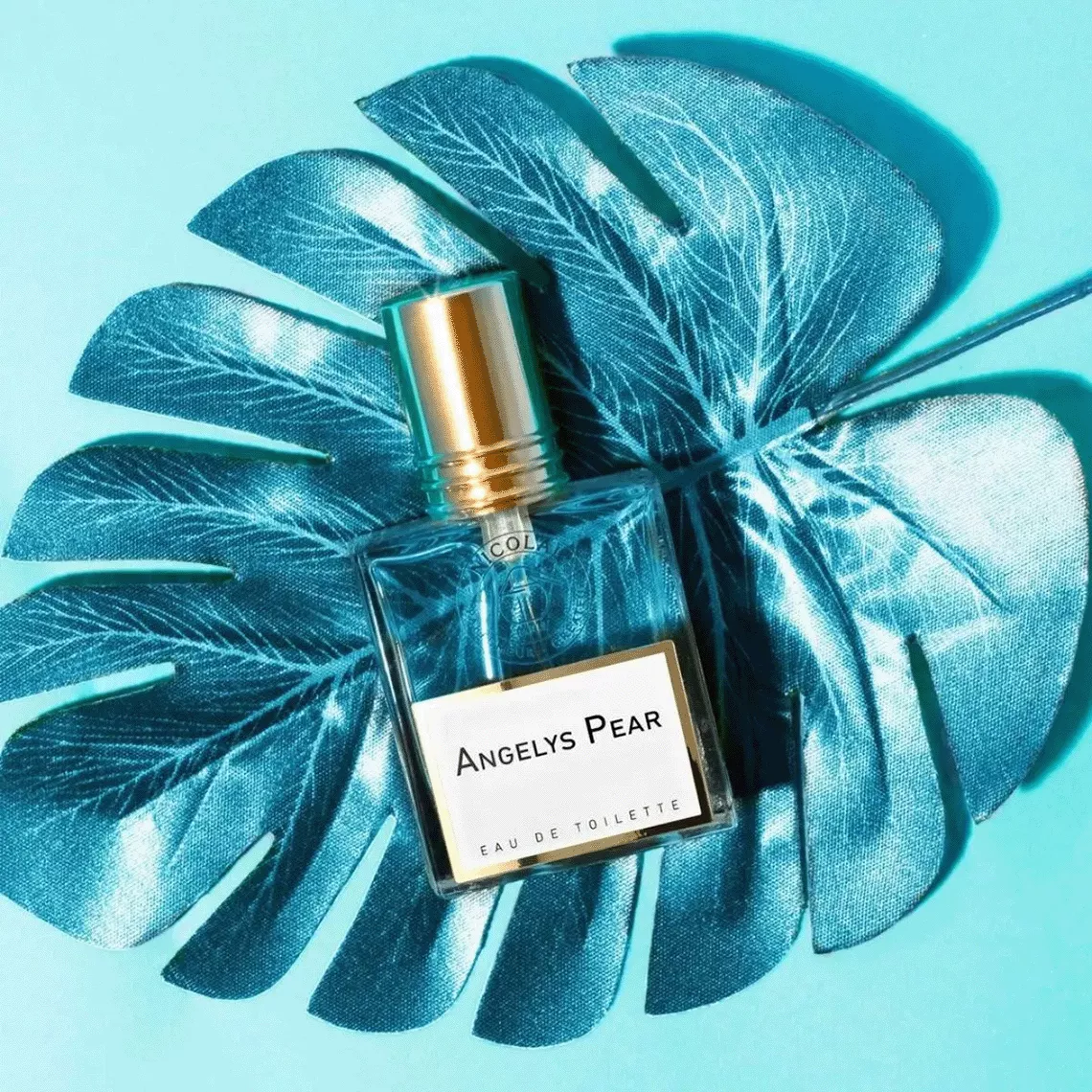 香水(ユニセックス) Nicolai ANGELYS PEAR 30ml アンジェリーズペアー – NOSE SHOP