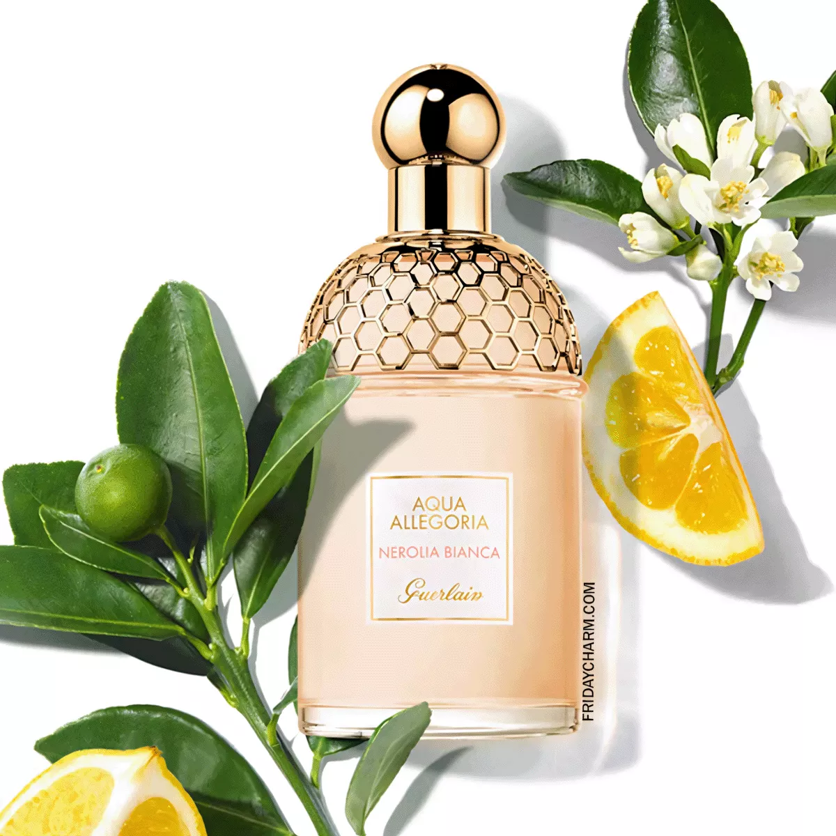 Aqua Allegoria Nerolia Bianca Perfume by Guerlain Eau de Toilette 