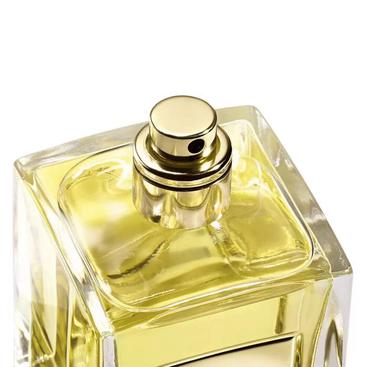 Les Eaux Orangerie Venise — Unisex Fragrance — Armani Beauty