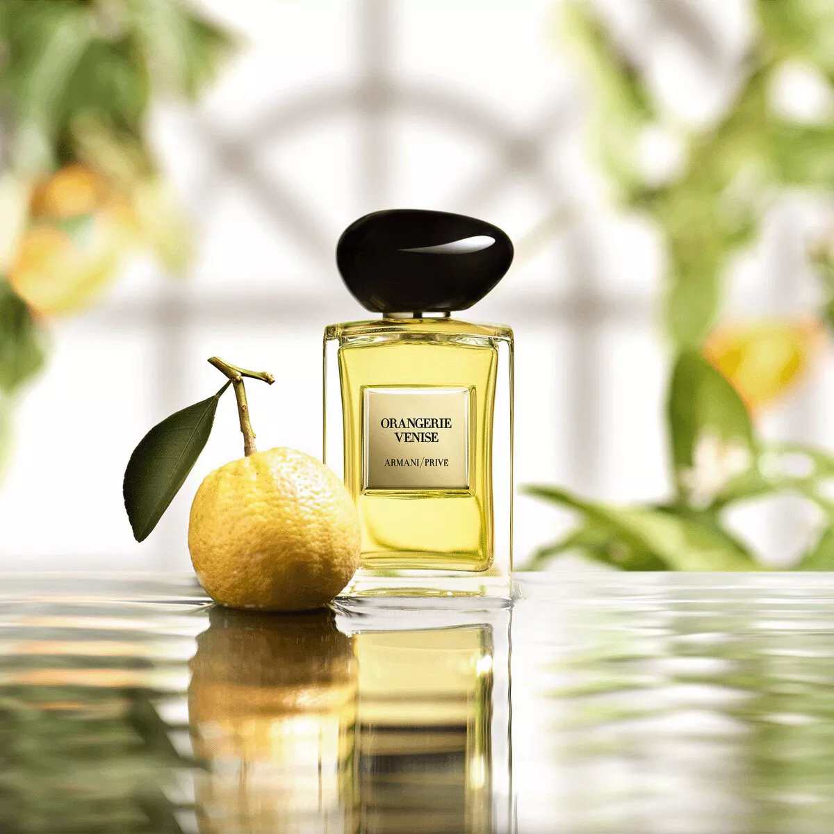 香水(ユニセックス) ARMANI/PRIVE ORANGERIE VENISE 100ml Armani Prive, Orangerie Venise, woda toaletowa, 100 ml