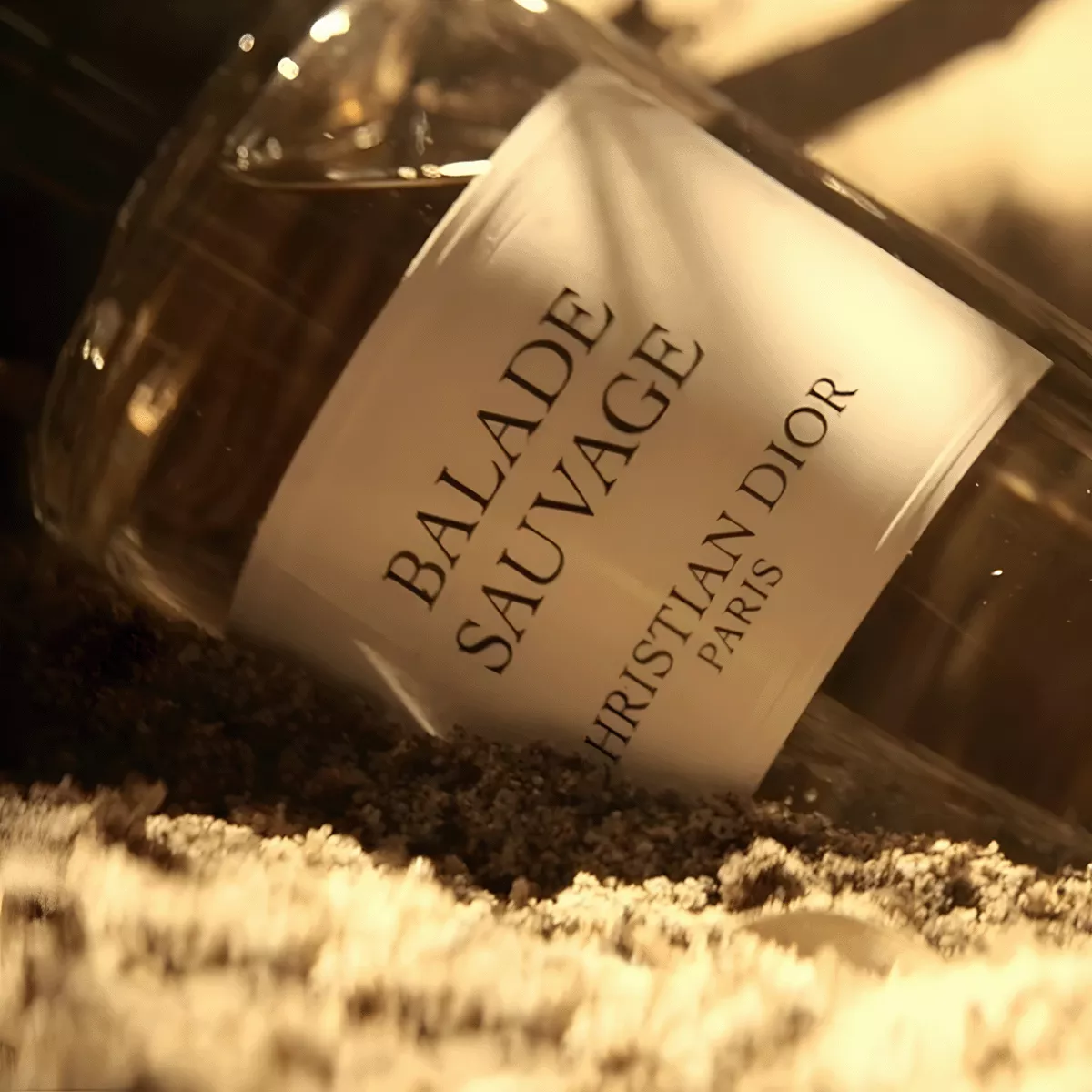 Balade Sauvage Perfume by Dior Eau de Parfum For Men and