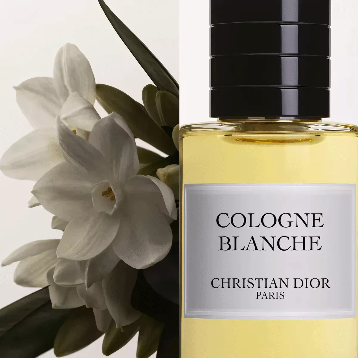 希少 2004年 COLOGNE BLANCHE コロン ブランシュ125mL Cologne Blanche Dior perfume - a fragrance for women and men