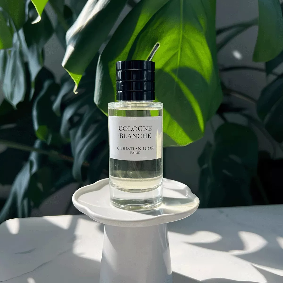 Cologne Blanche Perfume by Dior EDP For Men and Women 125 ml