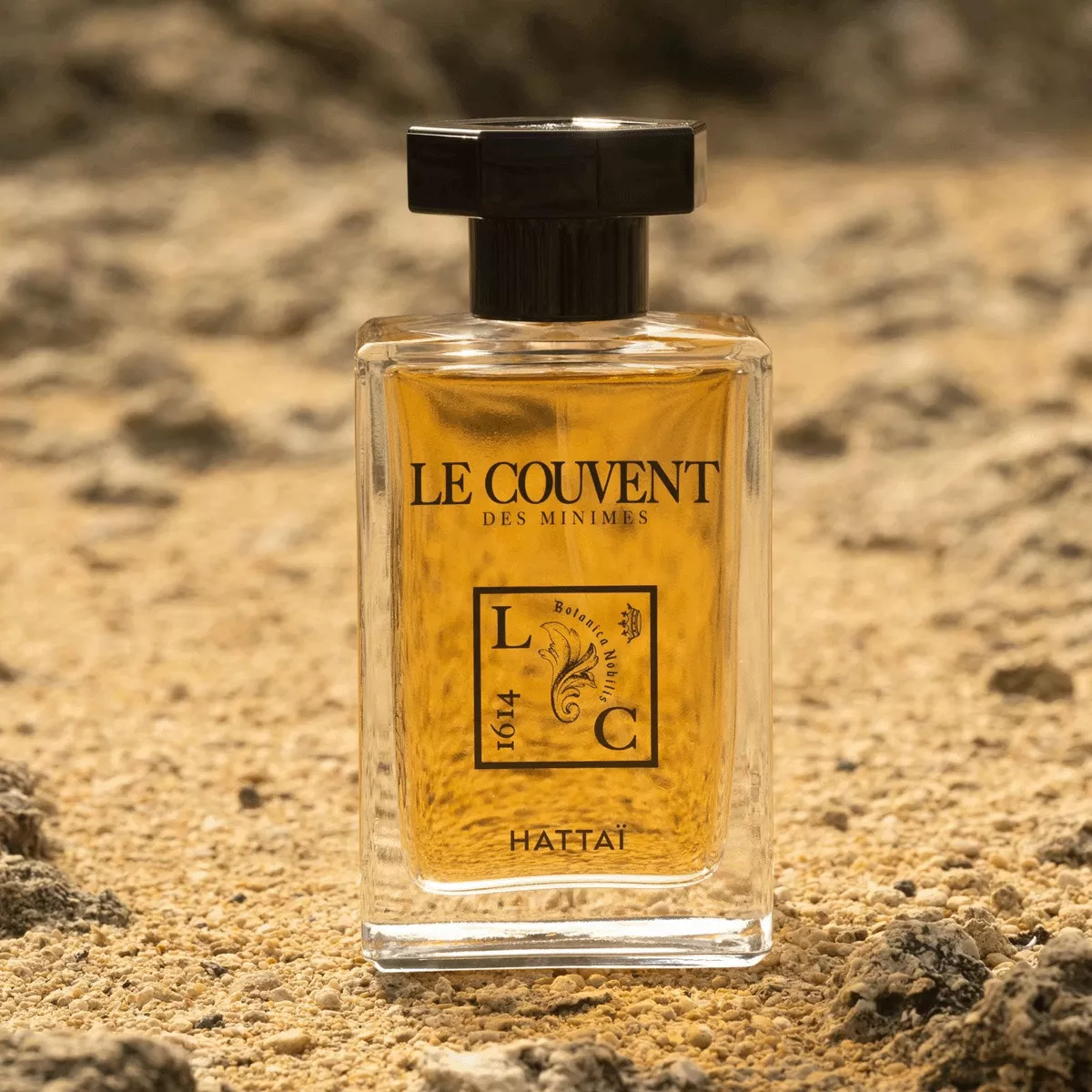 LE COUVENT DES MINIMES HATTĀI Amazon.com: LE COUVENT DES MINIMES HATTAI by Le Couvent