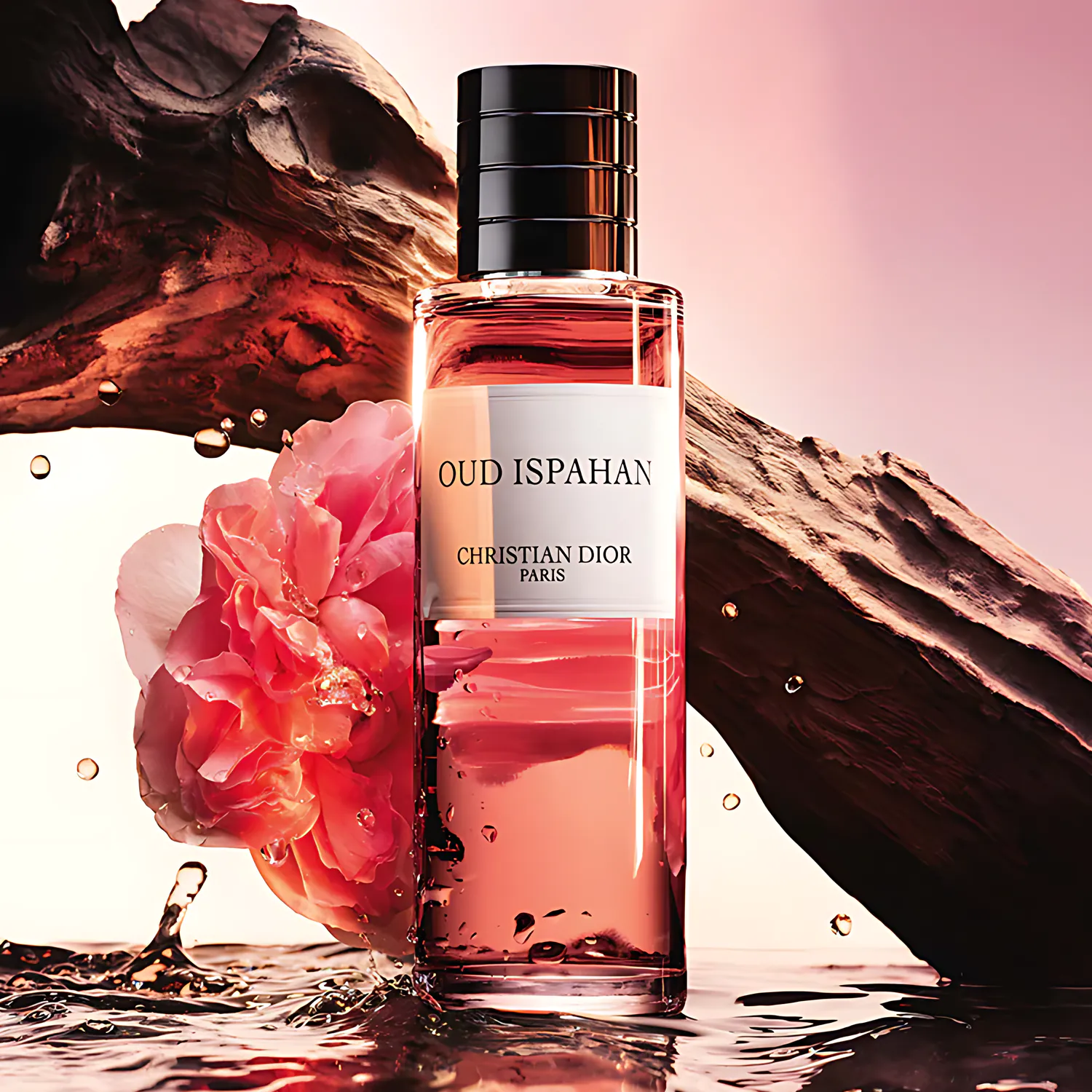 Oud Ispahan: warm genderless perfume with a floral signature