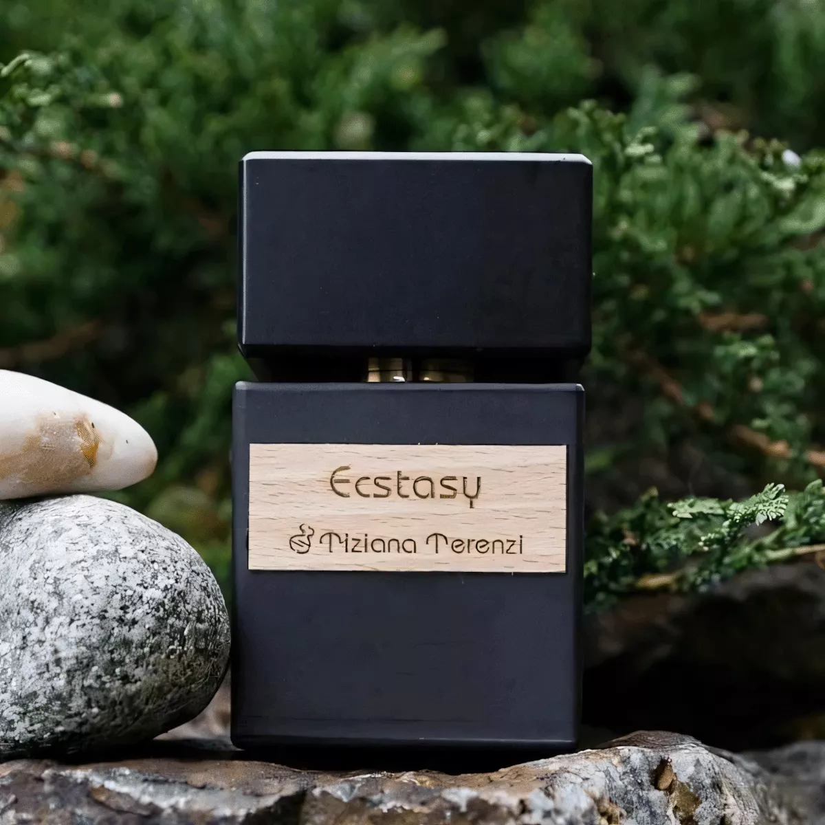 香水(ユニセックス) Tiziana Terenzi Ecstasy 100ml Tiziana Terenzi Ecstasy Extrait de Parfum Natural Spray 3.4