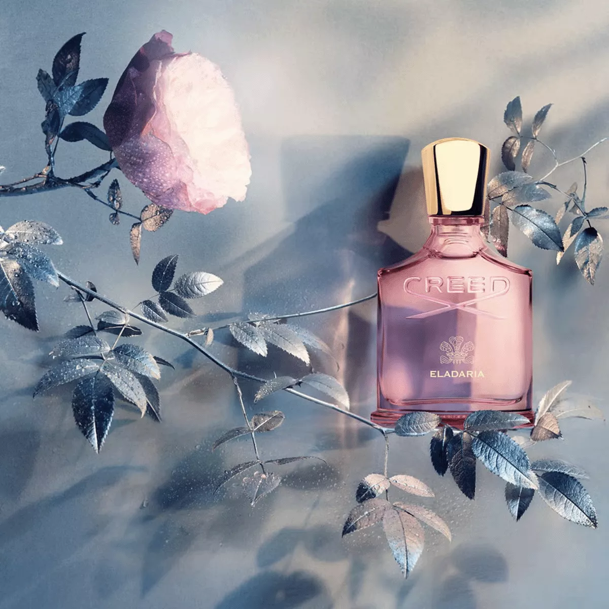 [国内正規品] CREED ELADARIA 75ml クリード エラダリア CREED ELADARIA 75ml 香水 CREED（CREED