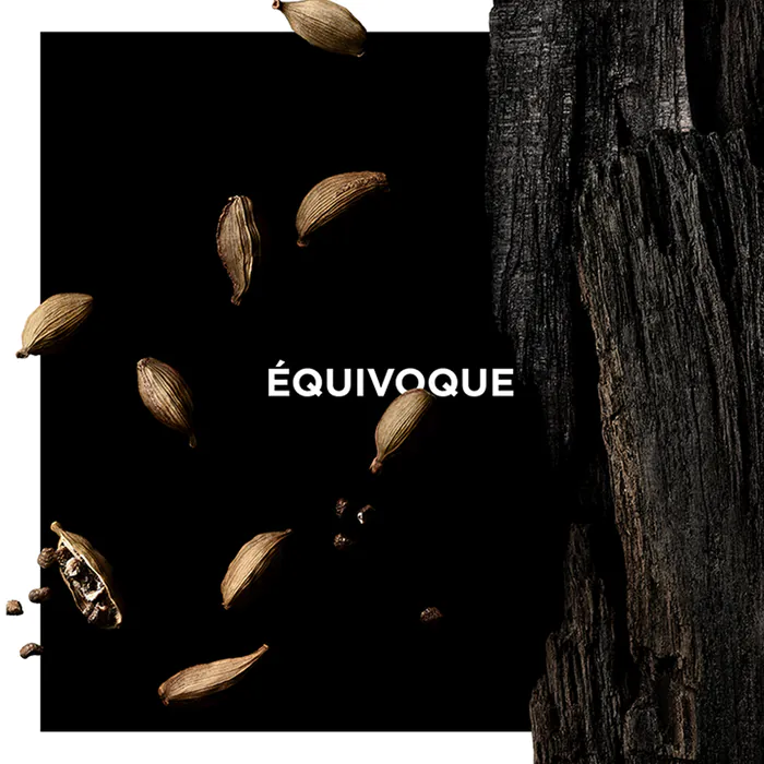 Equivoque Intense Perfume by Givenchy EDP For Men and Women