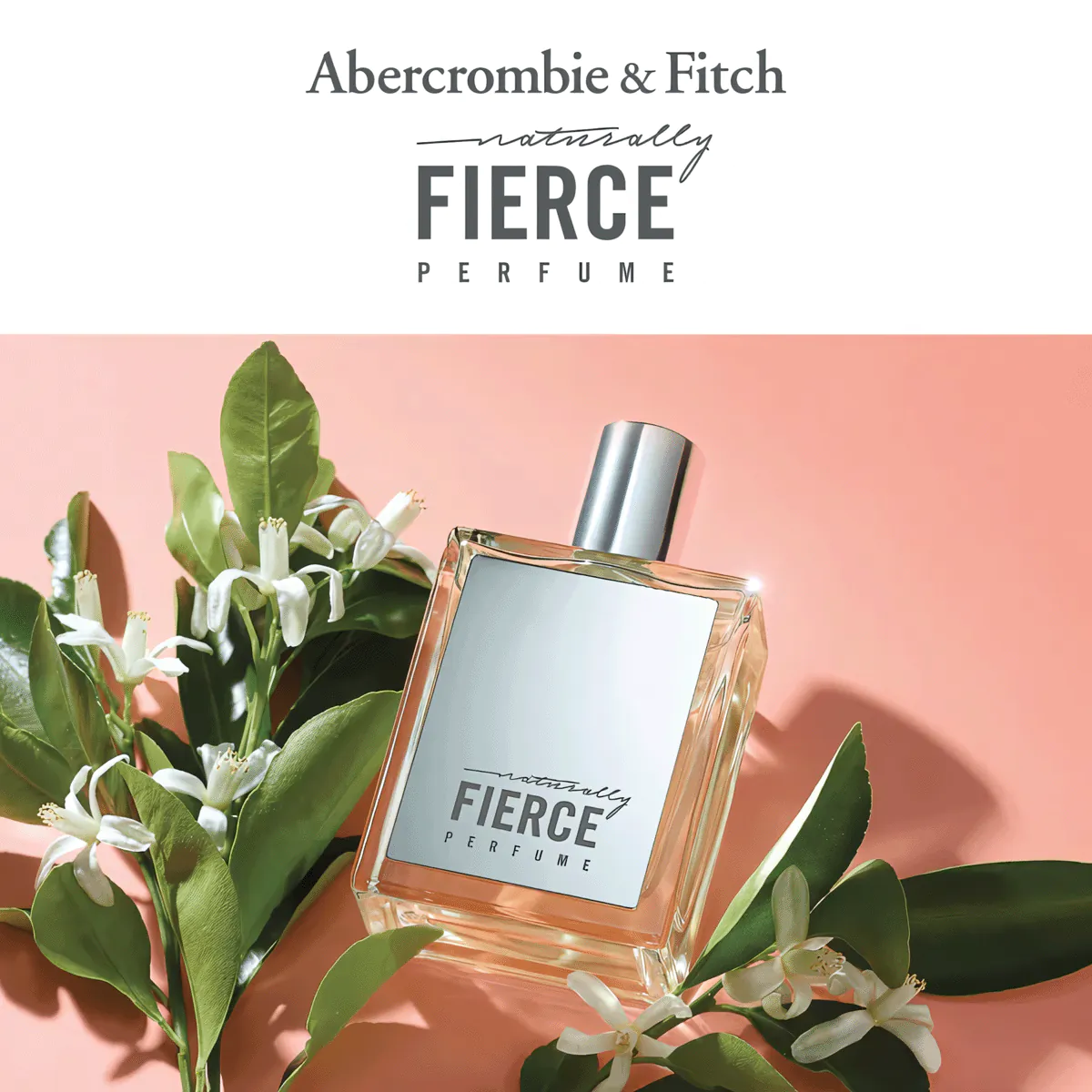 Fierce Perfume by Abercrombie & Fitch EDP For Women 100 ml