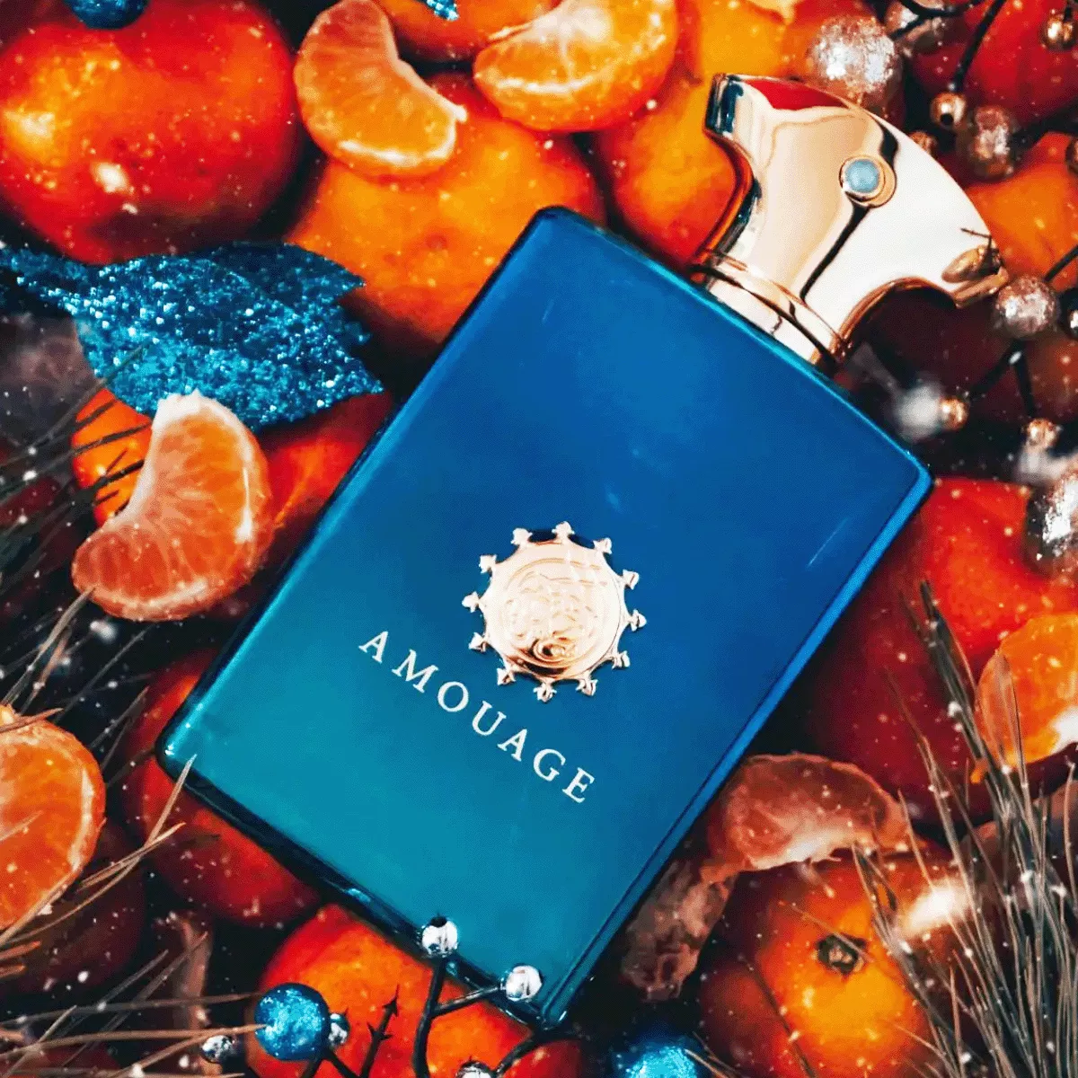 Figment For Man Perfume by Amouage Eau de Parfum For Men 100 ml
