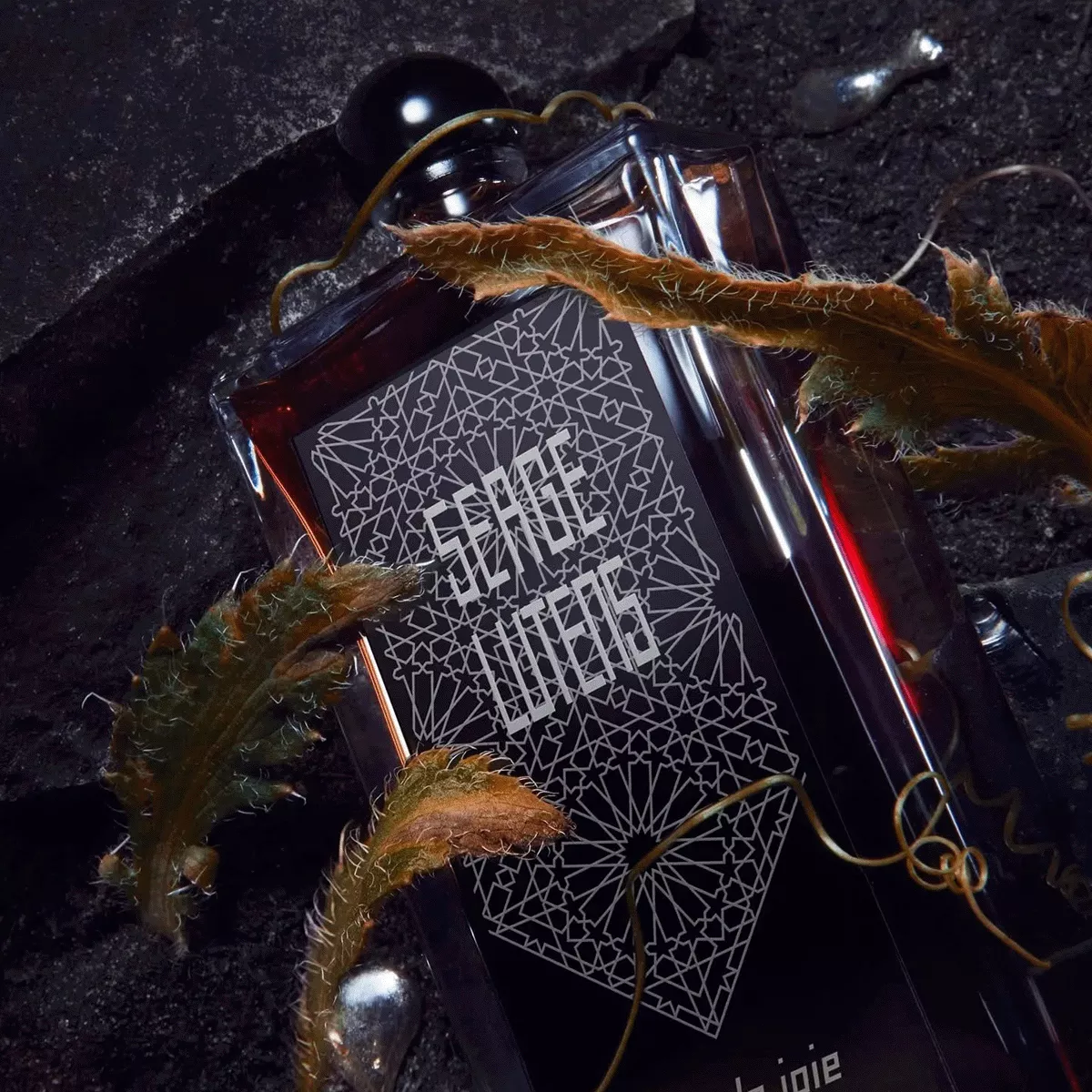 廃盤品】SERGE LUTENS フィスドゥジョワ 50ml オードパルファム Serge