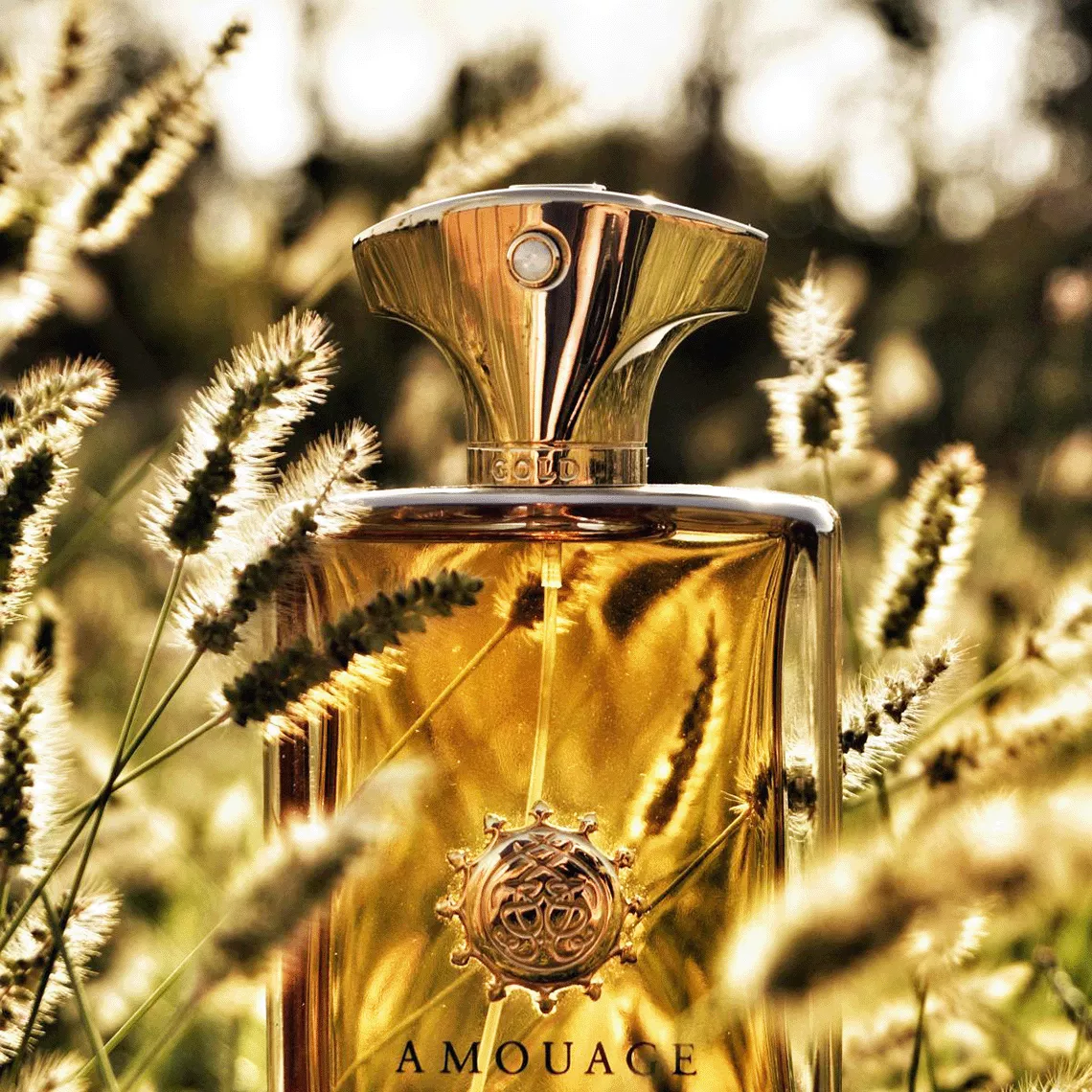 Gold For Man Perfume by Amouage Eau de Parfum For Men 100 ml Gold For Man Perfume by Amouage Eau de Parfum For Men 100 ml