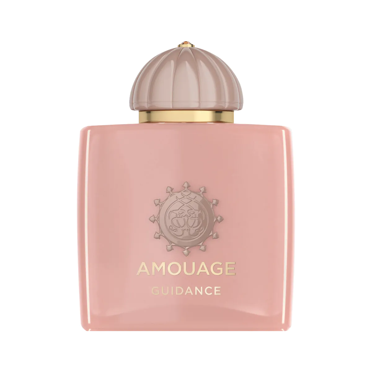 Guidance Perfume by Amouage EDP For Unisex 100 ml