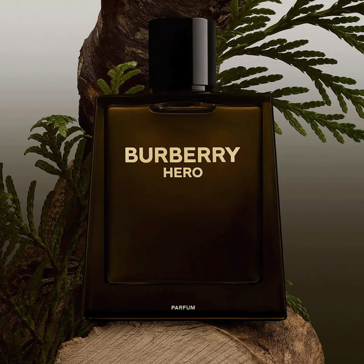 Hero Eau de Parfum with Pine & Cedarwood - BURBERRY | Sephora