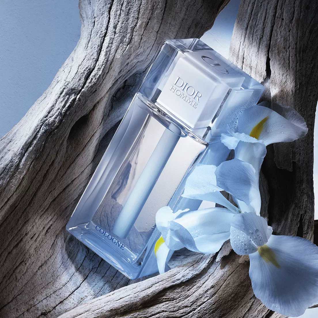 Homme Cologne Perfume By Dior EDC For Men 125 ml