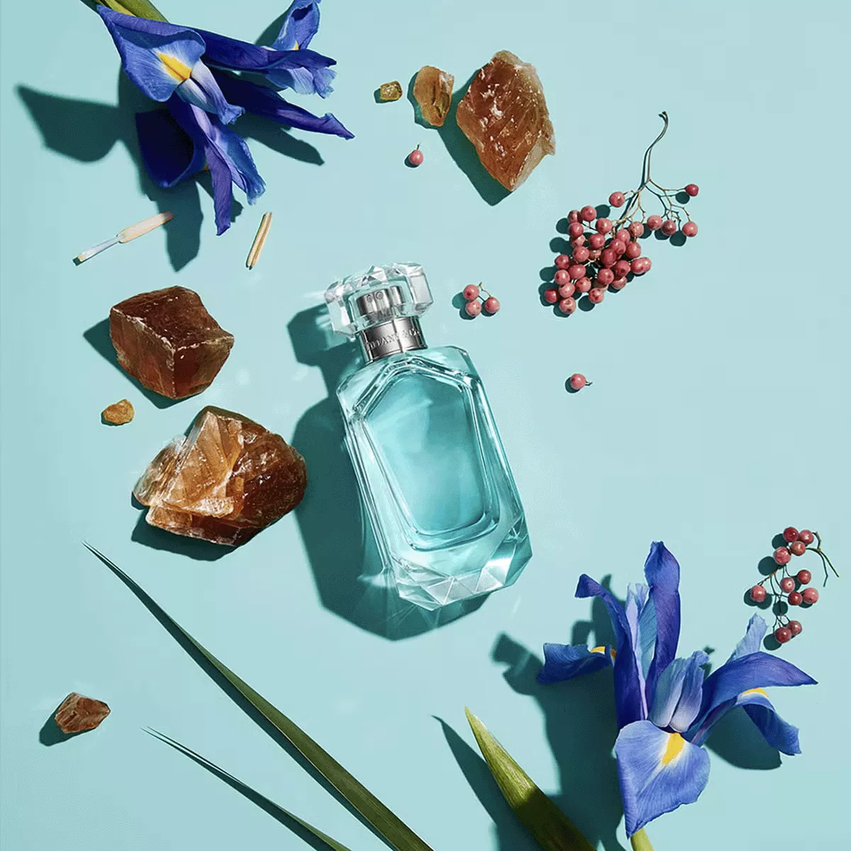 Amazon.com : Tiffany Intense by Tiffany & Co. for Women 1.7