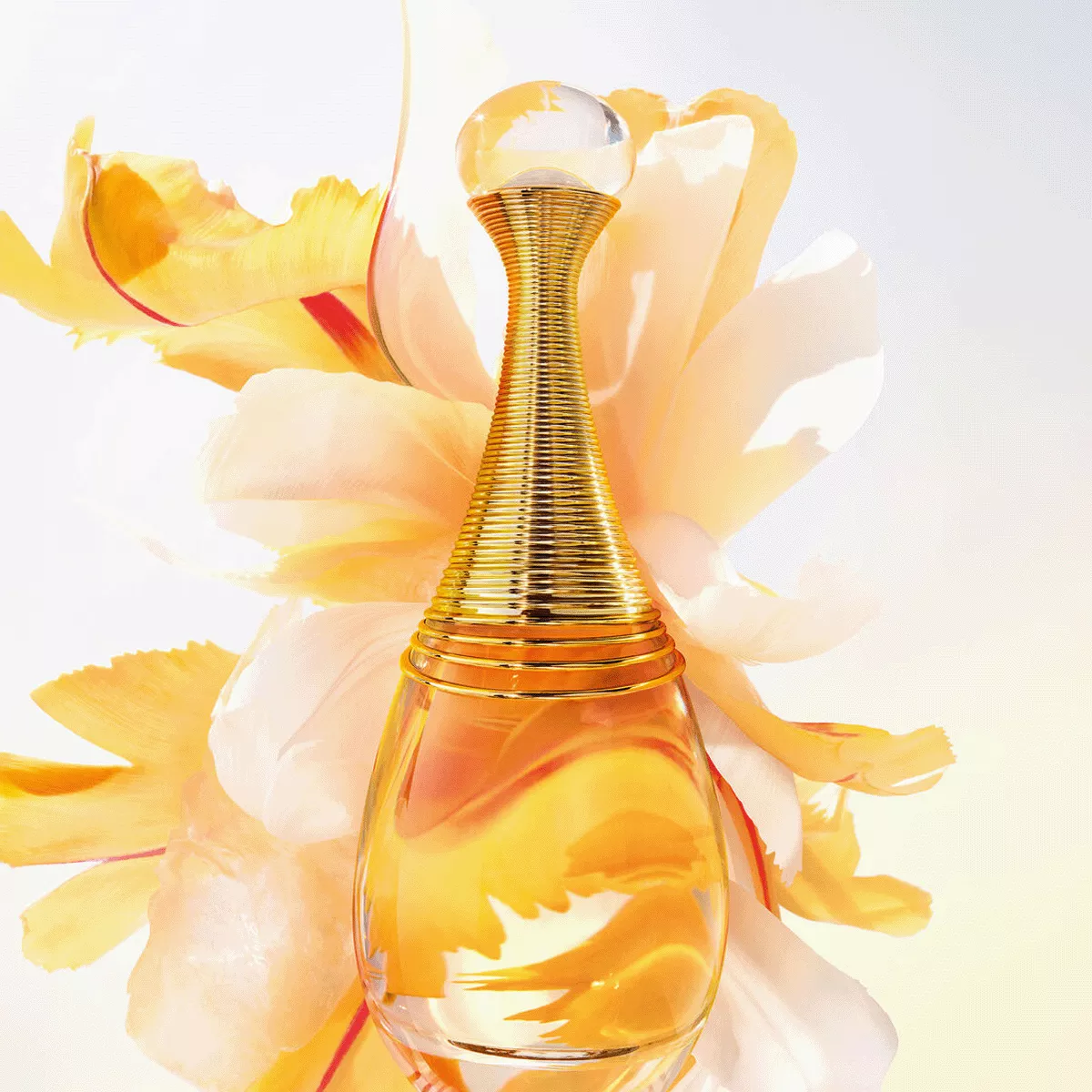 新品未使用　Dior j'adore Eau de Parfum 30ml J'adore Eau de Parfum Gift Case, Luminous and Dewy Notes