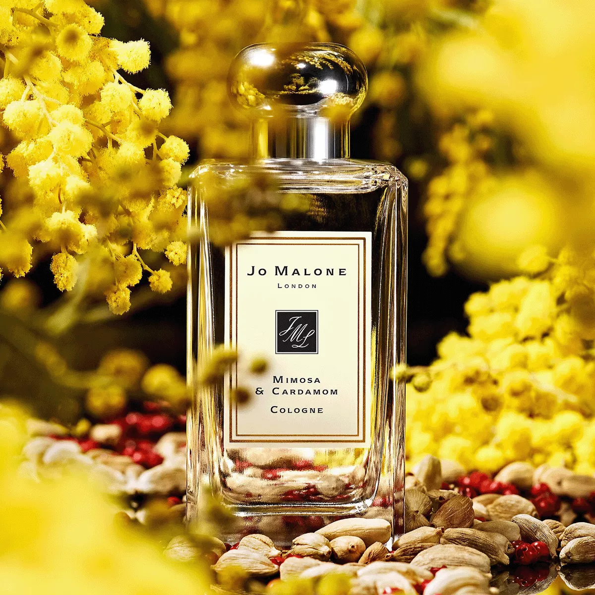 値下げ！Jo Malone Mimosa & Cardamom Jo Malone London Mimosa & Cardamom Cologne, 3.4-oz. - Macy's