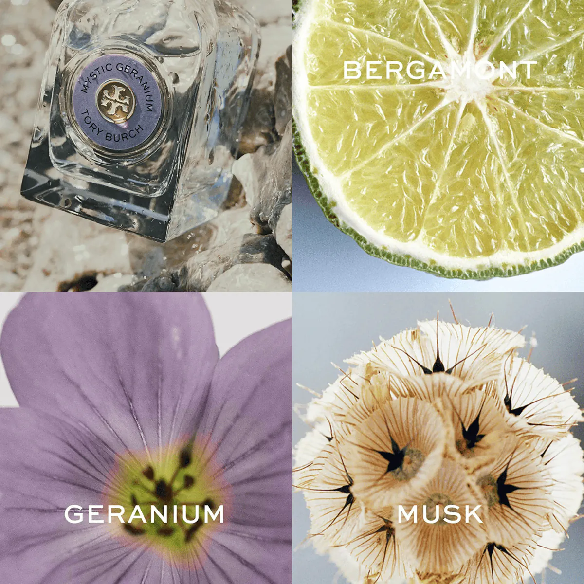 Mystic Geranium Perfume by Tory Burch EDP For Women 90 ml