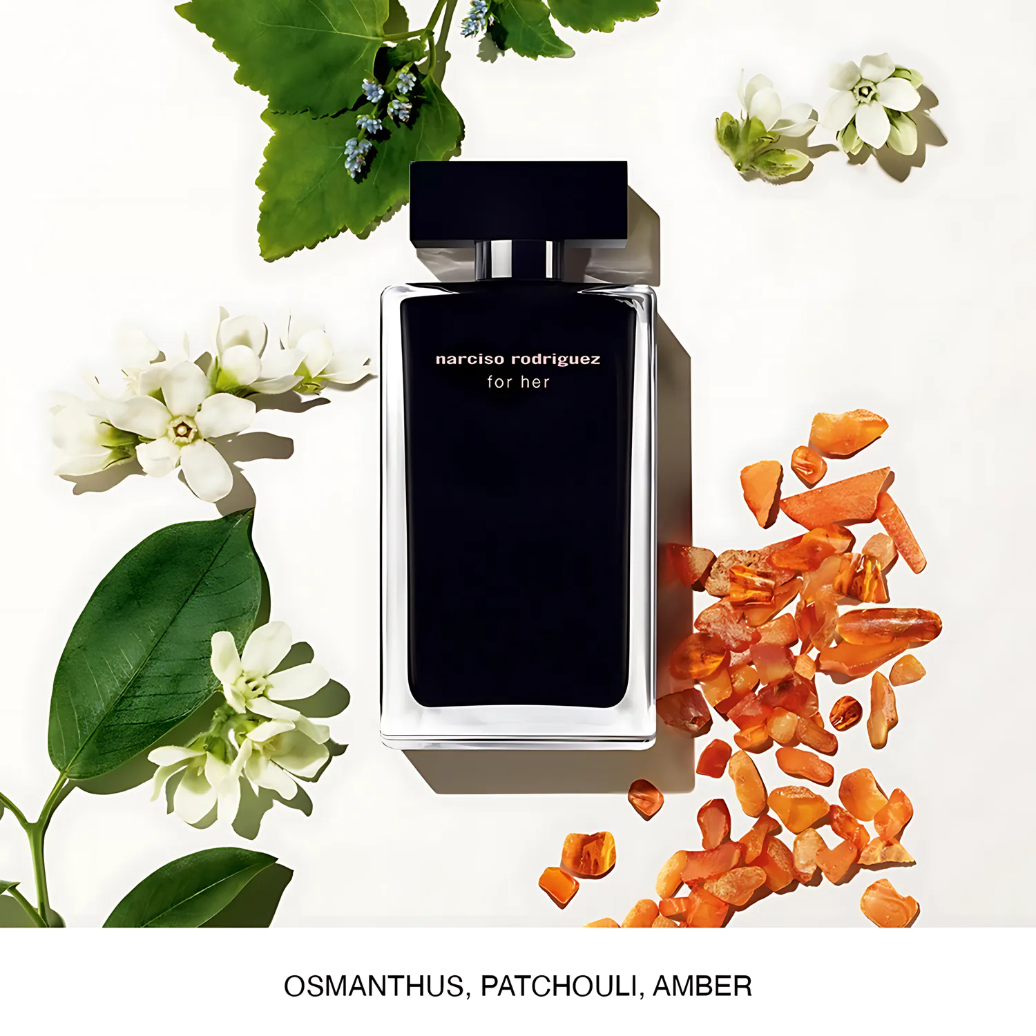 narcisorodriguez forher incolor 100ml限定版 Narciso Rodriguez for Him SILVER LIMITED EDITION 100 ml/ 3.3