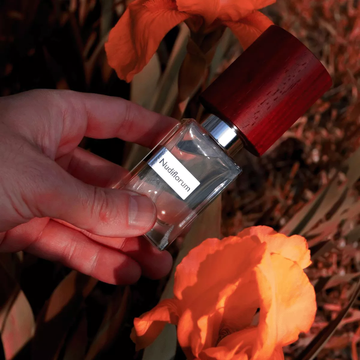 NASOMATTO Nudiflorum ユニセックス香水 Nasomatto Nudiflorum – An Epic And Unique Fragrance