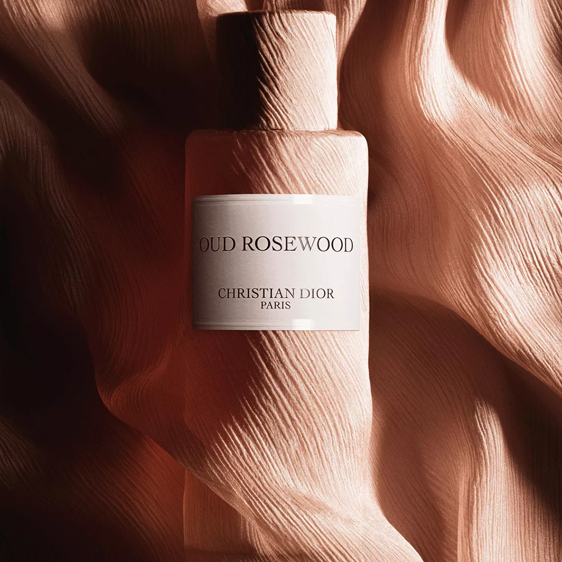 Dior OUD ROSEWOOD 50ml 香水 Christian Dior Oud Rosewood Eau De Parfum 125 ml Maison