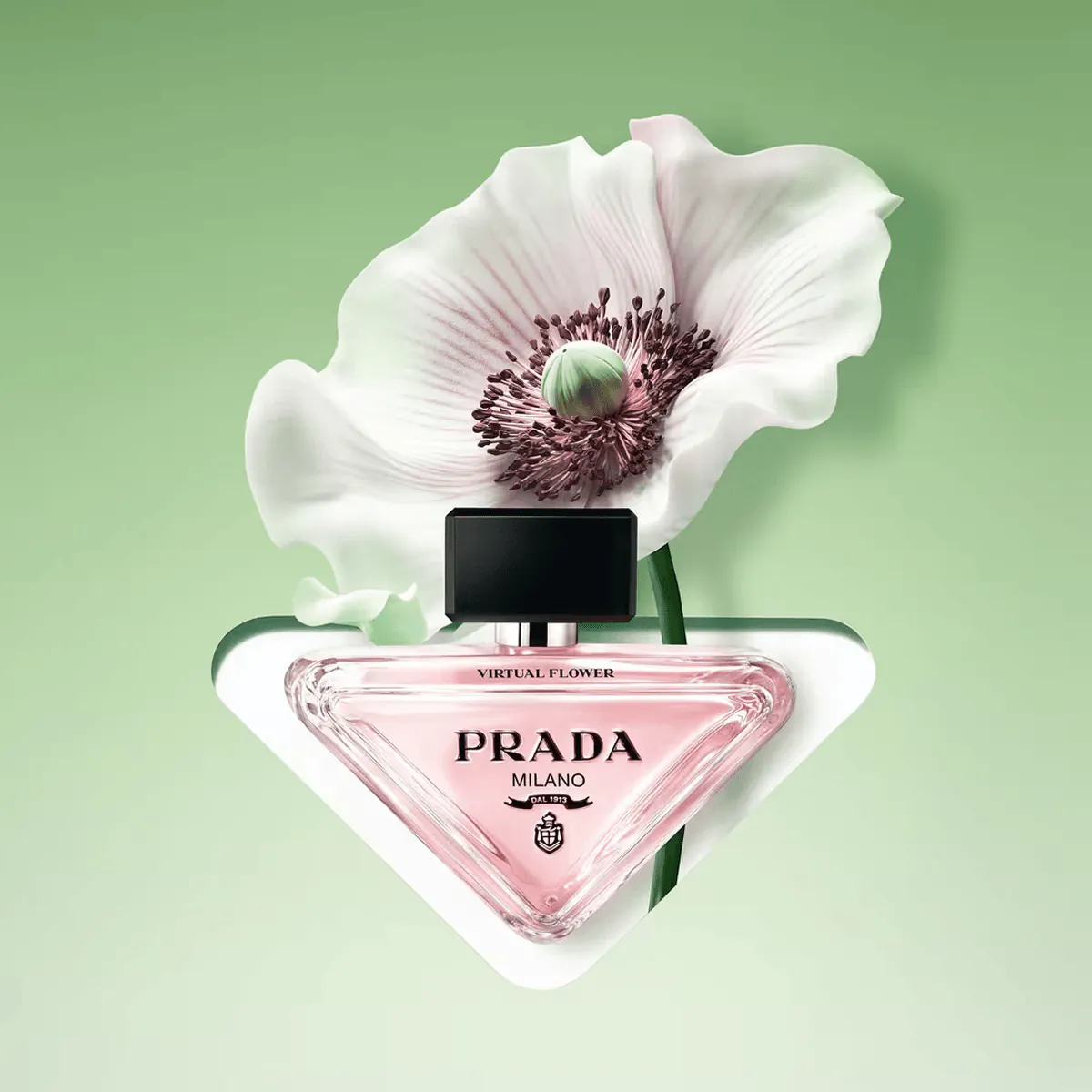 PARADOXE PRADA VIRTUAL FLOWER&チャーム&パフ Prada Paradoxe Virtual Flower Eau de Parfum | Nordstrom