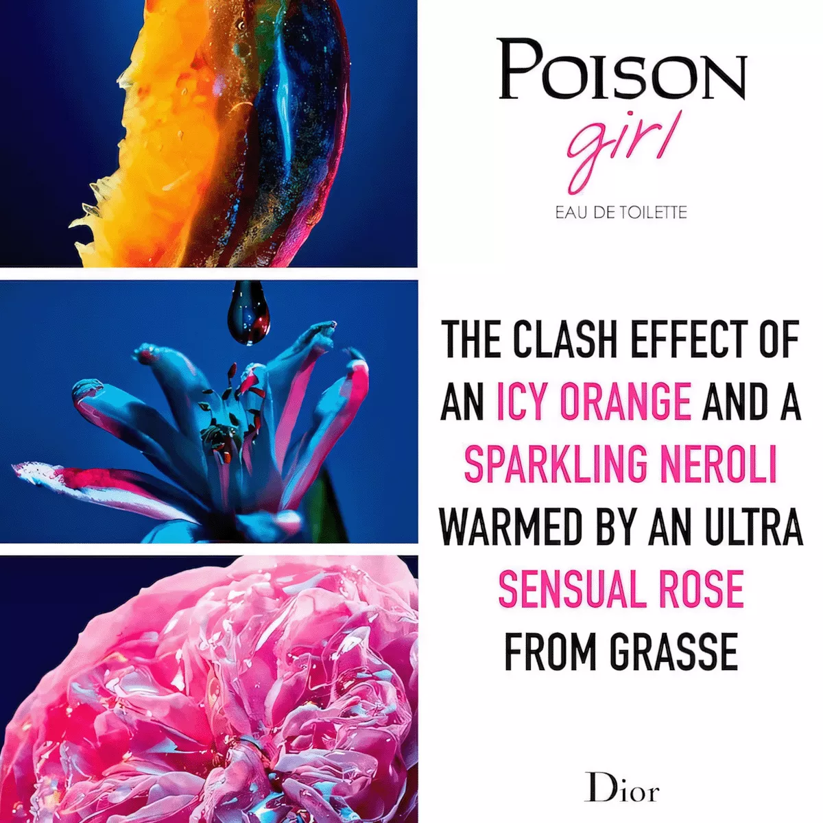 dior POISONgirl 香水 50ml 2本セット 楽天市場】Dior ディオール ポイズンガール Poison Girl EDP