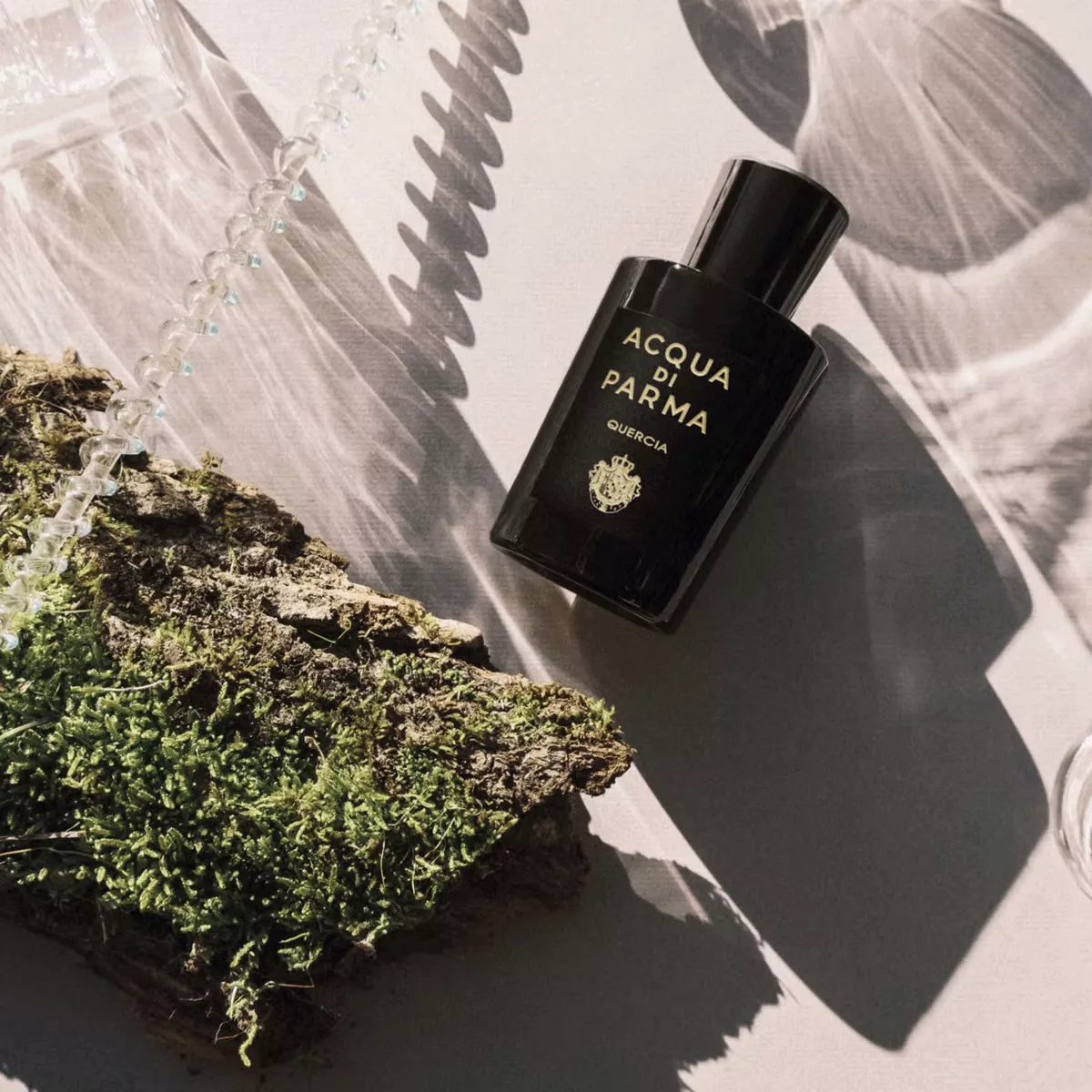 ACQUA DI PARMA QUERCIA 100ml【値下げしました！】 Quercia Eau De Parfum - Signatures Of The Sun | Acqua di Parma
