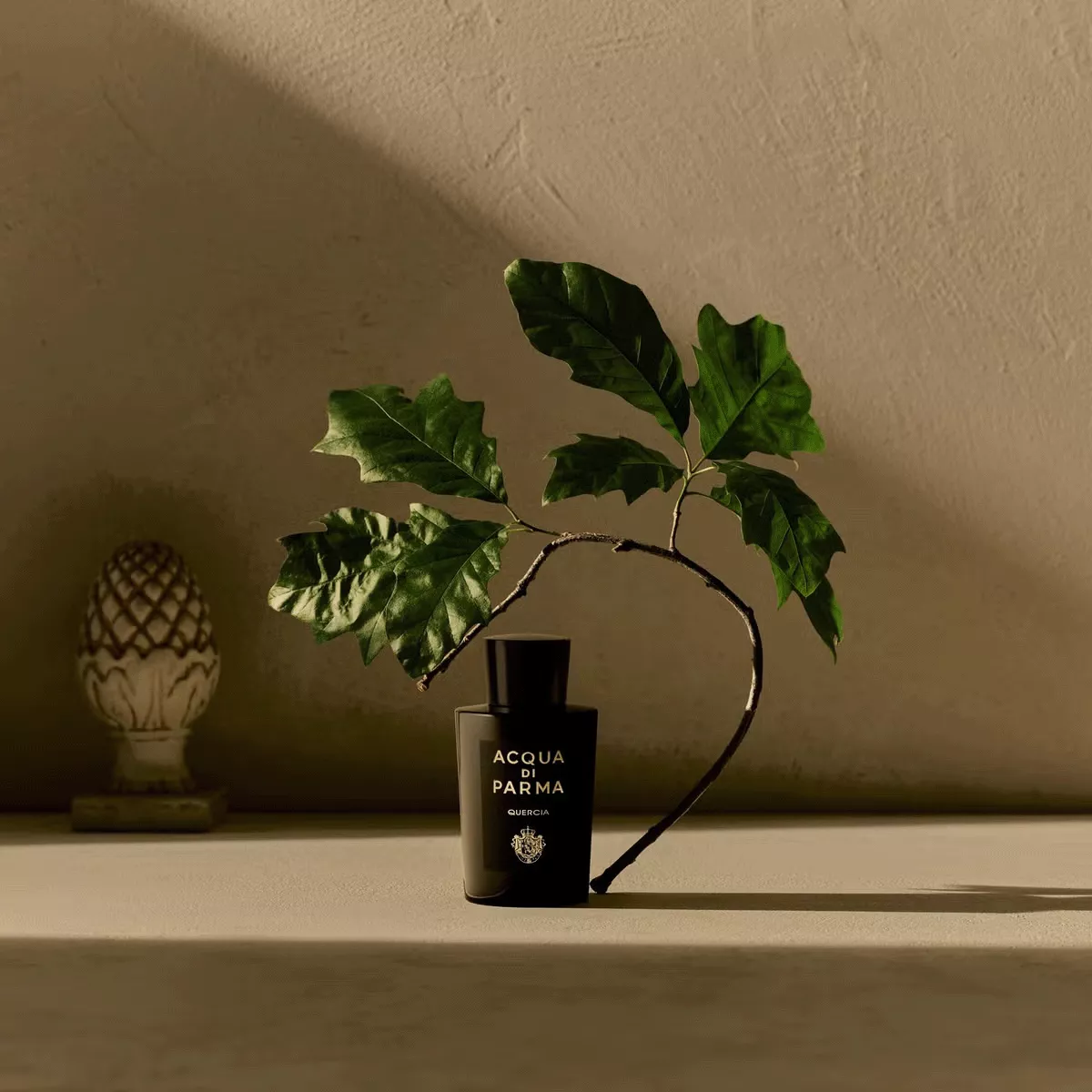 ACQUA DI PARMA QUERCIA 100ml【値下げしました！】 Quercia Eau De Parfum - Signatures Of The Sun | Acqua di Parma