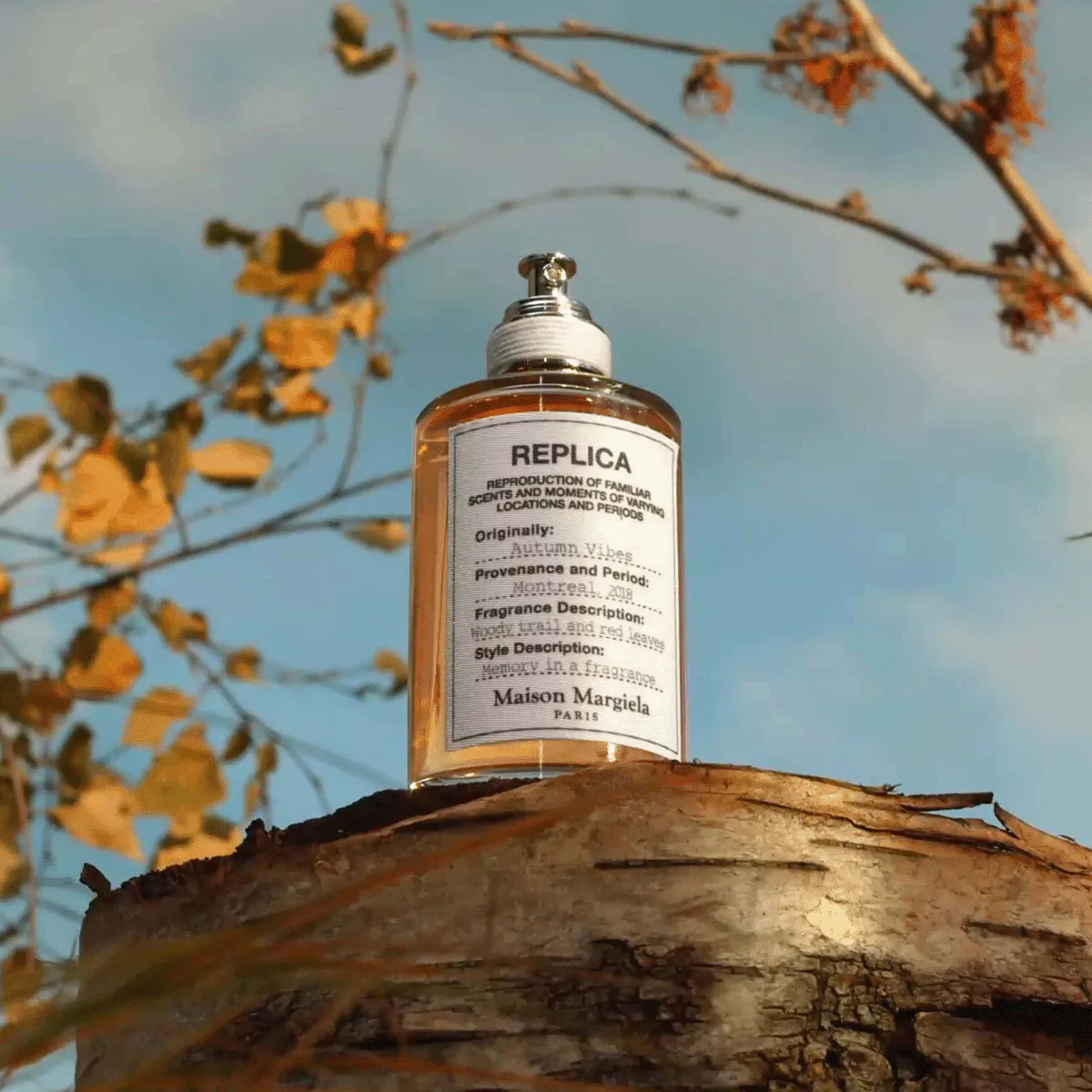 秋季限定Maison Margiela 香水 【Autumn Vibes】 Amazon.com: Maison Margiela - Replica - Autumn Vibes Eau de