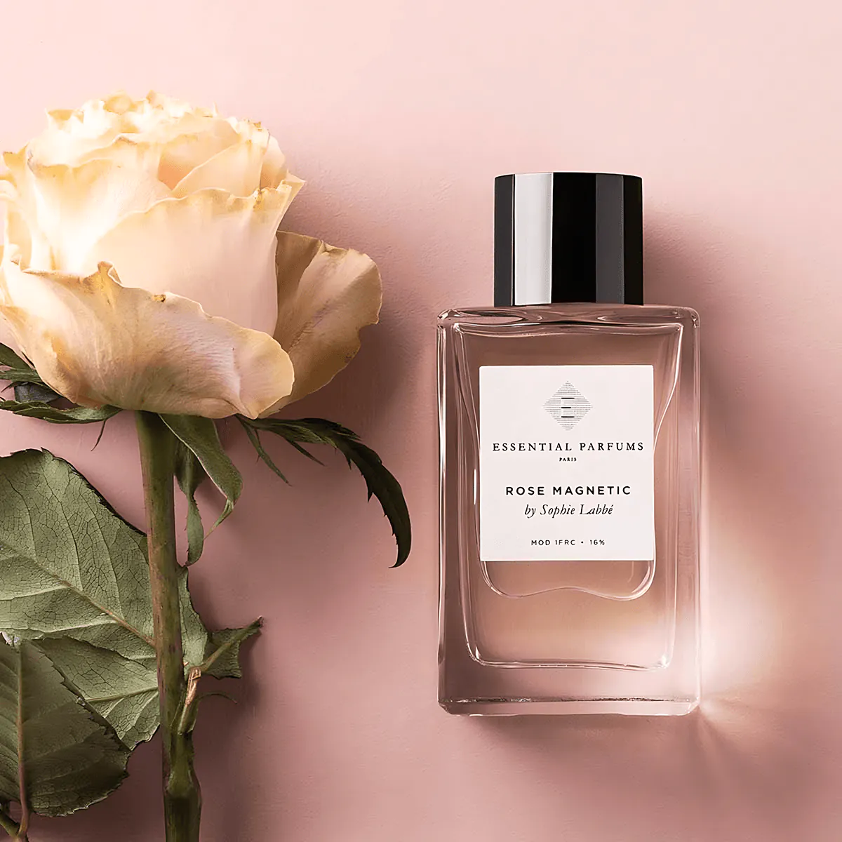 Rose Magnetic Perfume by Essential Parfums EDP For Unisex 100 ml