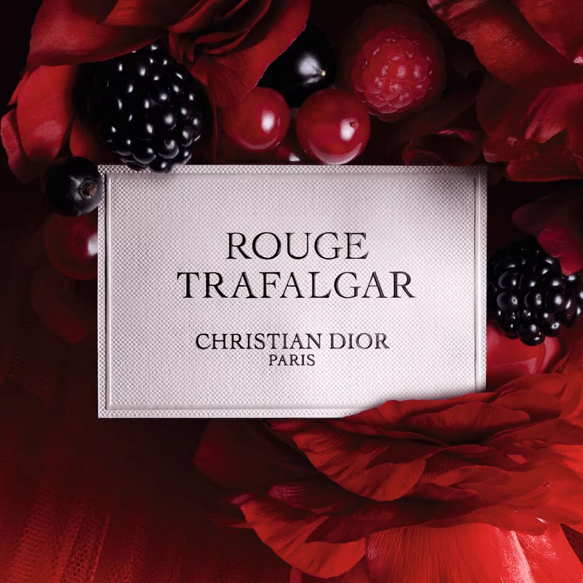 Christian Dior Rouge Trafalgar 2本セット 31B4JRwNjaL._AC_UL210_SR210,