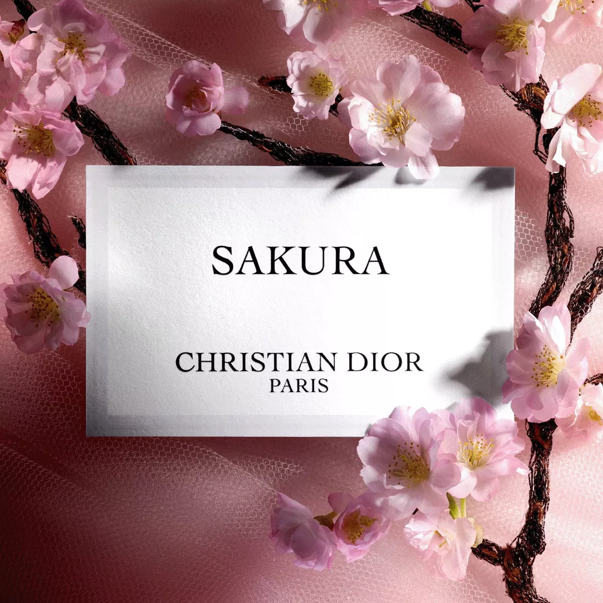 Dior Sakura 新品未開封 Sakura: Unisex Eau de Parfum with Floral Notes| DIOR SG