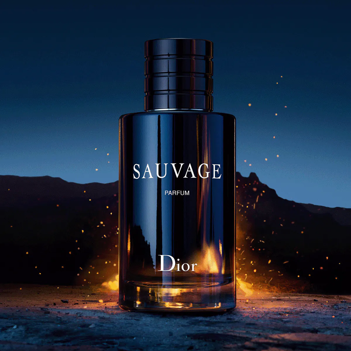 Sauvage Perfume by Dior Parfum For Men 30ml