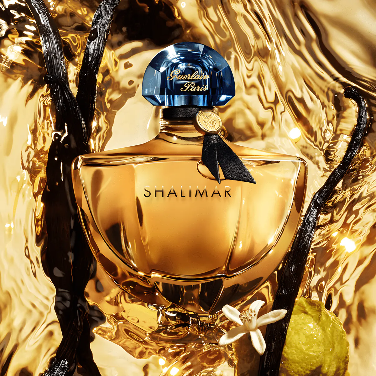 Guerlain Shalimar 香水セット Amazon.com : Guerlain Shalimar 3 Piece Gift Set For Women