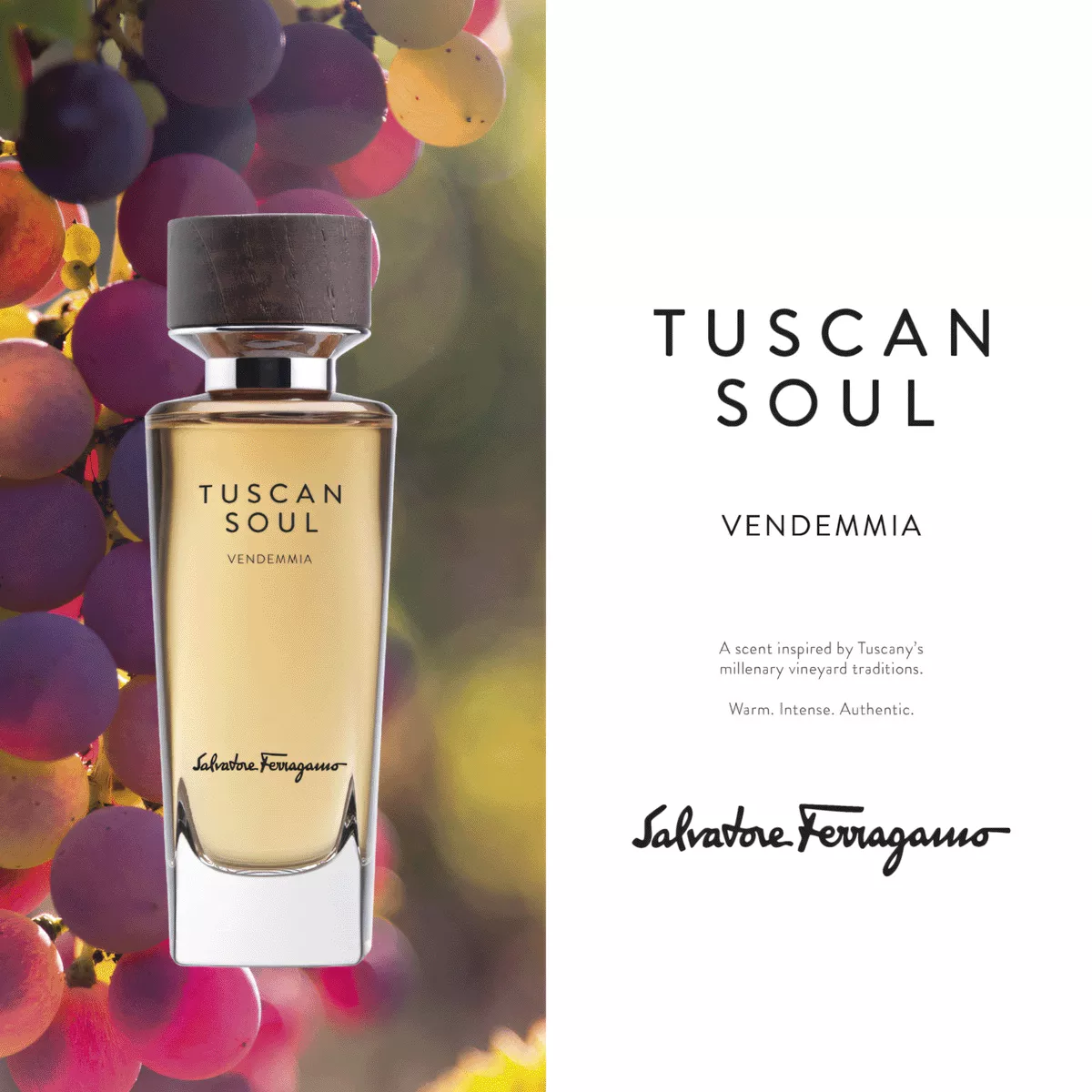 ▼Salvatore Ferragamo TUSCAN SOUL 　75ml Tuscan Soul Perfume for Women by Salvatore Ferragamo