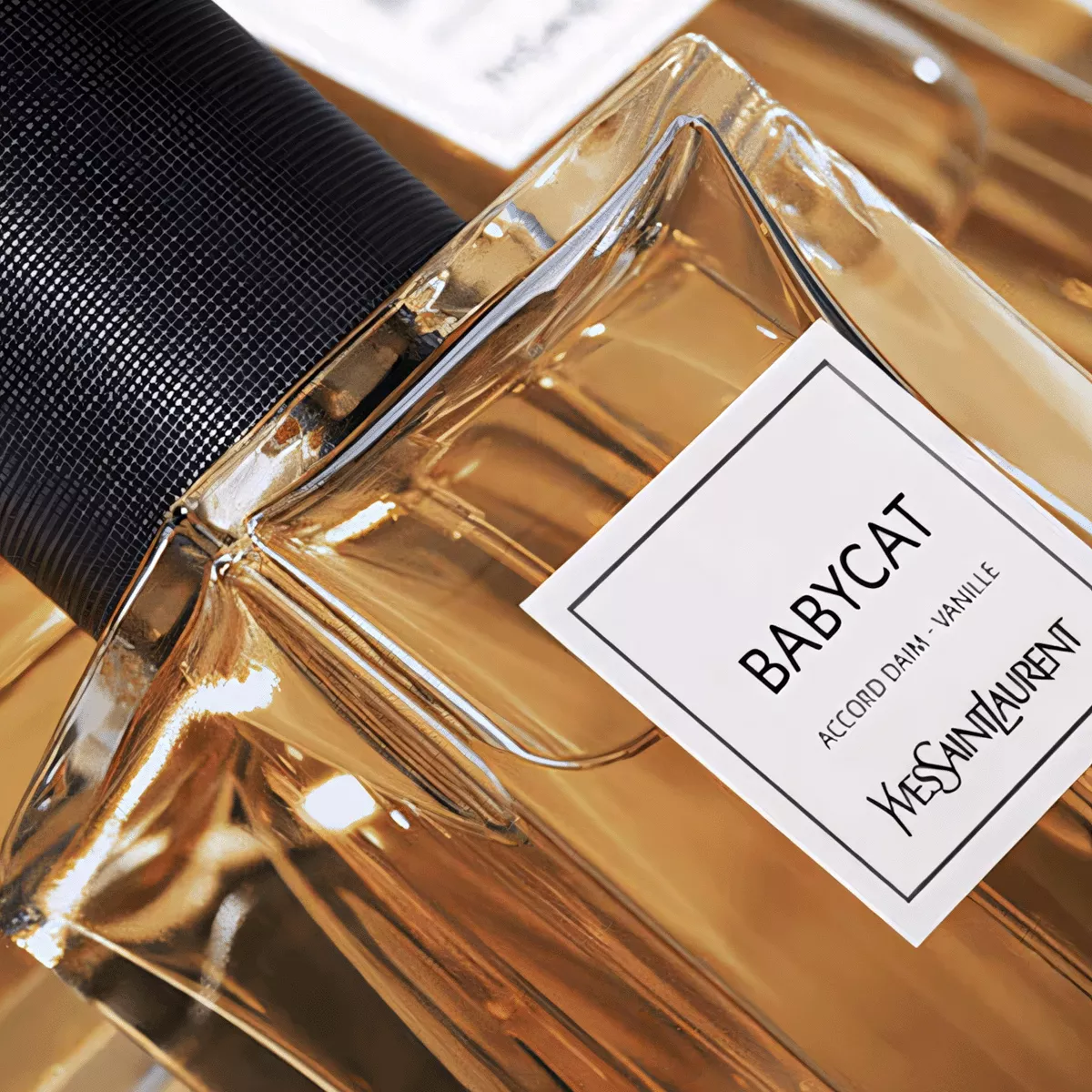 香水(ユニセックス) Yves Saint Laurent Babycat 125ml Amazon.com