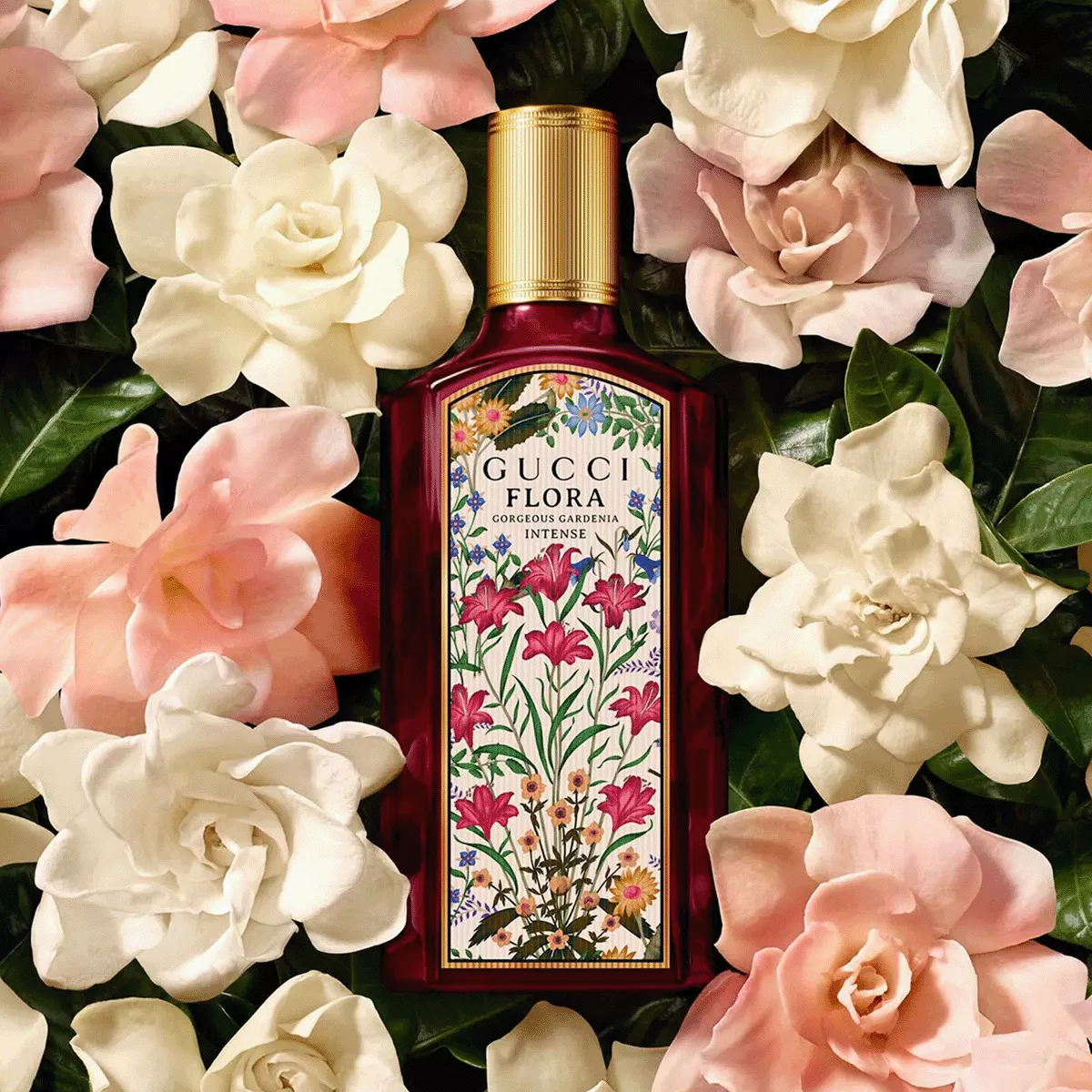 Flora Gorgeous Gardenia intense Perfume by Gucci EDP For