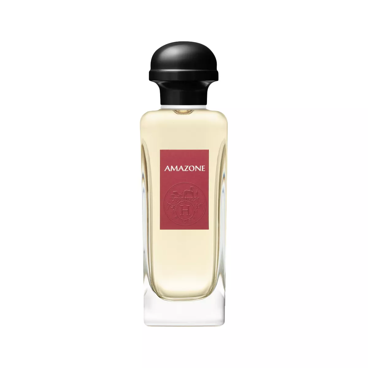 Amazone Perfume by Hermes Eau de Toilette For Women 100 ml