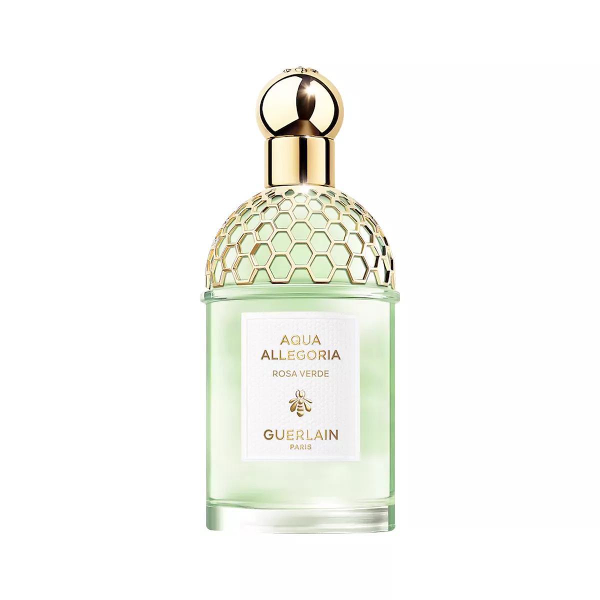 Aqua Allegoria Rosa Verde Perfume by Guerlain Eau de Toilette For Unisex 125 ml
