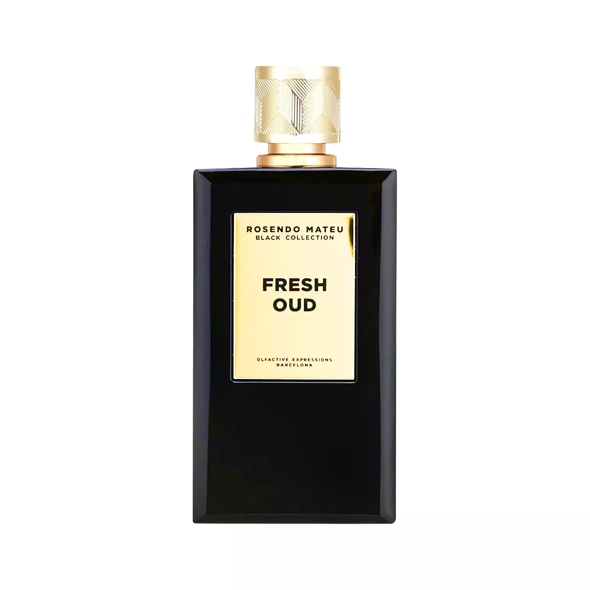 Black Collection Fresh Oud Perfume by Rosendo Mateu Olfactive Expressions Parfum For Men and Women 100 ml