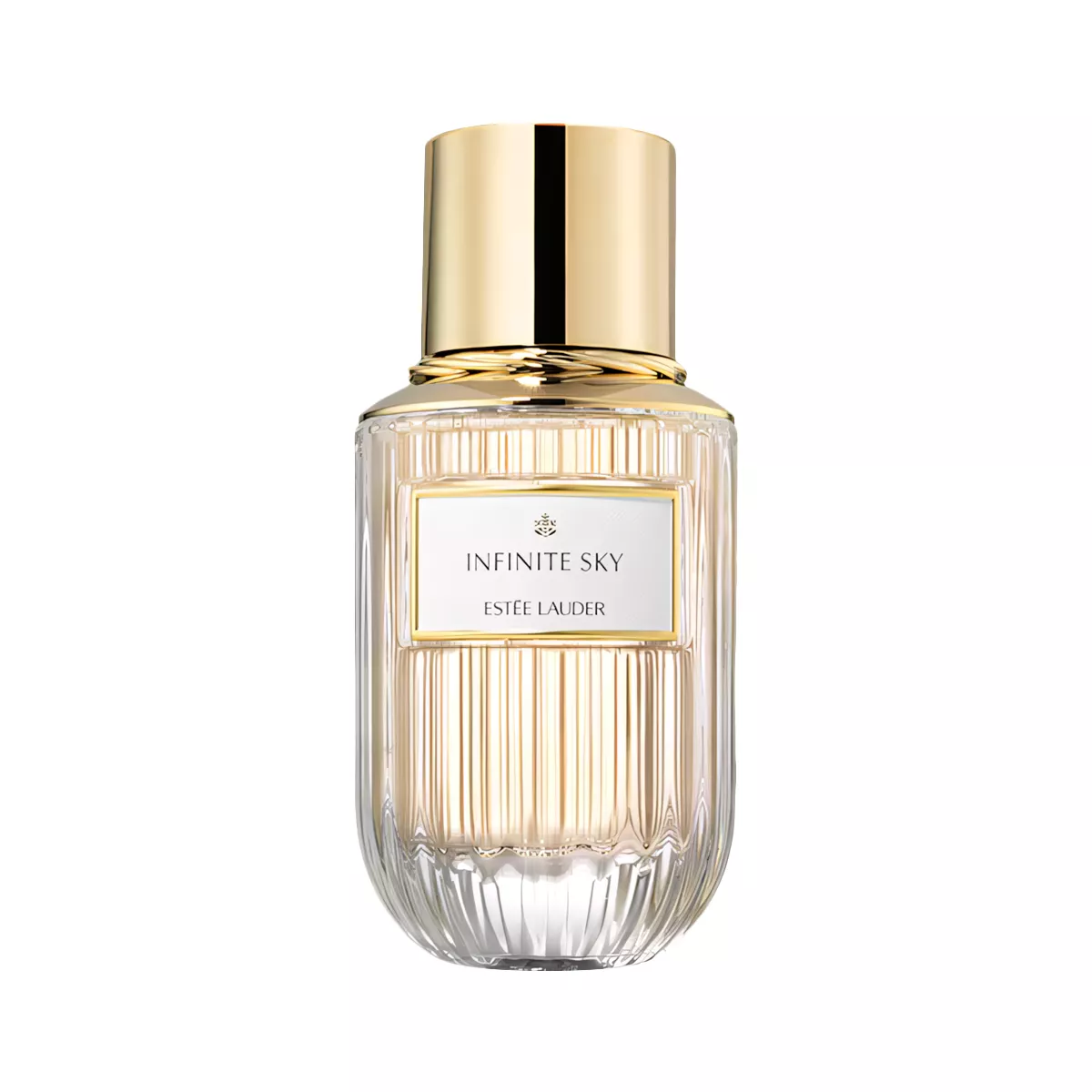 عطر انفينيت سكاي من استي لودر أو دو برفيوم للجنسين 40 مل