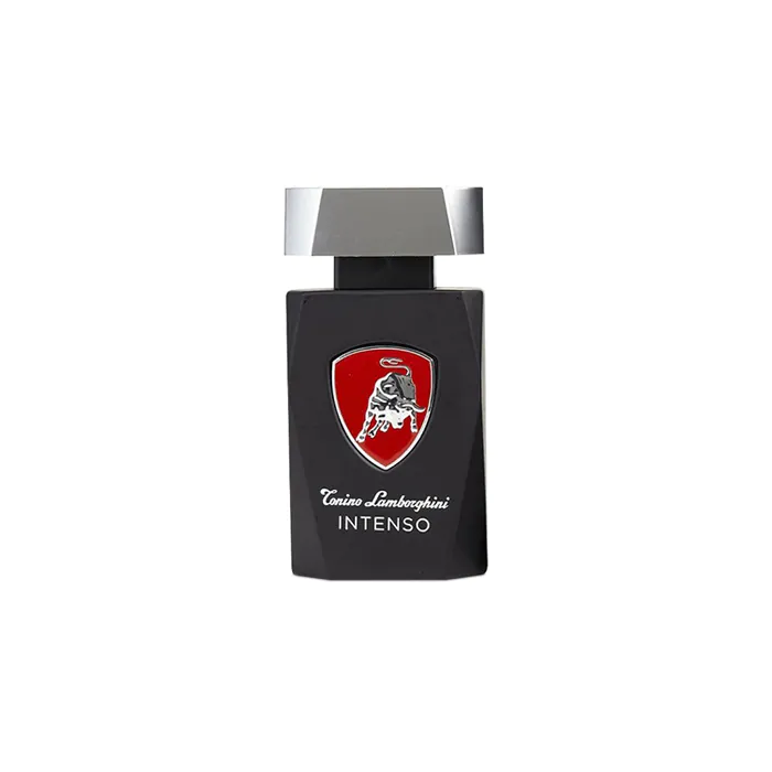 Intenso Perfume by Tonino Lamborghini EDT For Men 125 ml