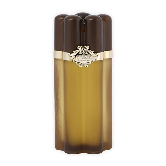 عطر سيجار من ريمي لاتور أو دو تواليت للرجال 100 مل