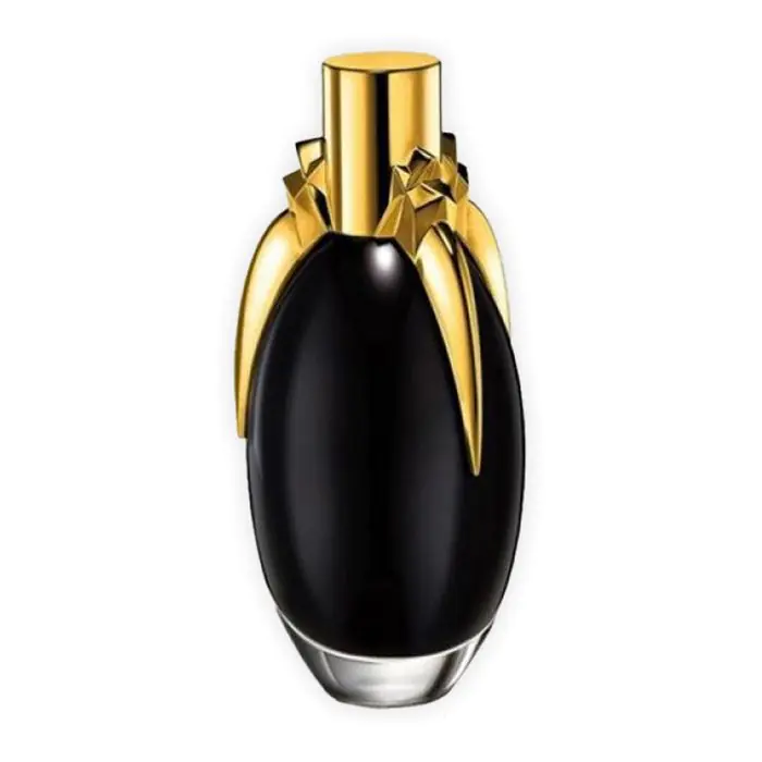 Fame Black Fluid Perfume By Lady Gaga EDP For Women 100 ml