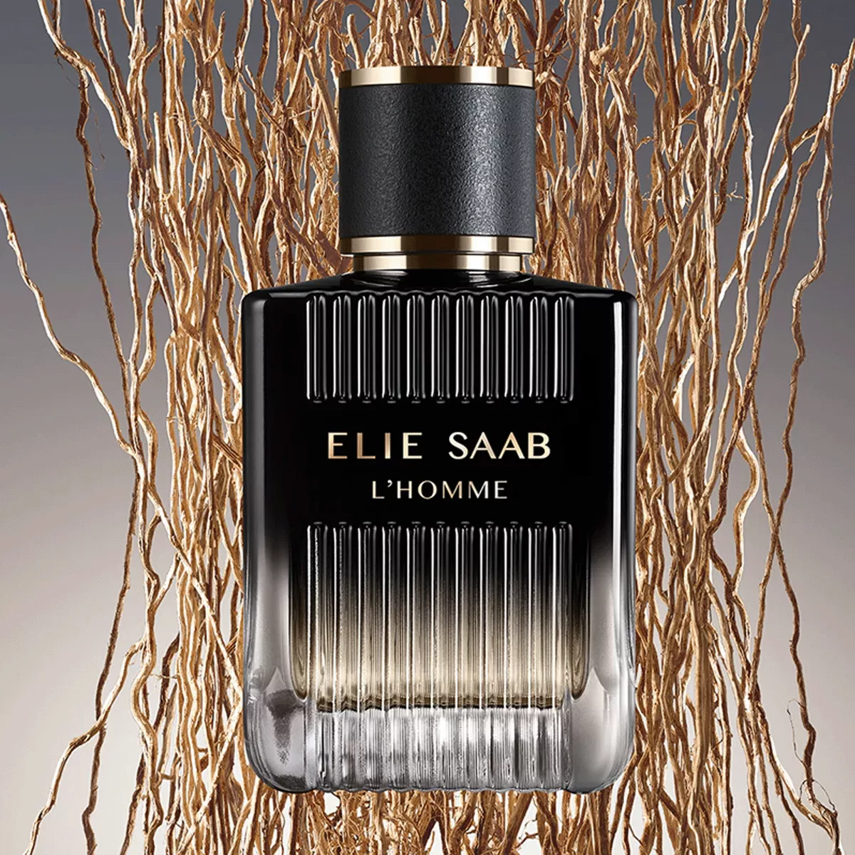 L'Homme Perfume by Elie Saab EDP For Men 100 ml