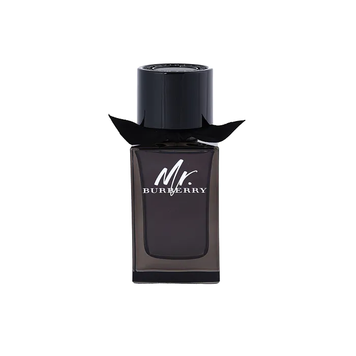 Mr Burberry Perfume By Burberry EDP For Men 100 ml